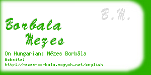 borbala mezes business card